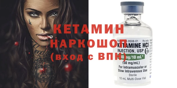 гашик Алексин