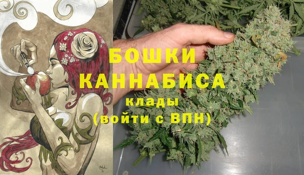 дмт Абаза