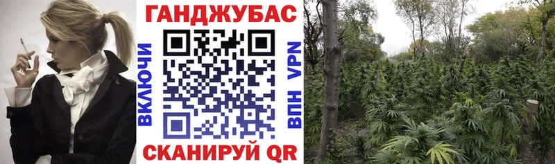 Шишки марихуана тримм  Новочебоксарск 